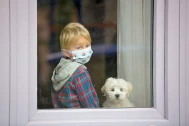 Küçük sarışın çocuk ve Malta 'lı yavru köpek, evde oturmuş, sağlık maskesi takmış, pencerenin arkasında, üzgün, Covid 19 salgını yüzünden kilit altında.