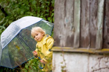 Şirin sarışın çocuk, evlat, kırsal bir yolda sisli bir sonbahar gününde yağmurda şemsiyeyle oynuyor.