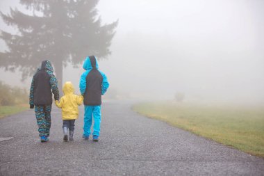 Çocuklar, kardeşlerim, sisli bir sonbahar gününde kırsal bir yolda birlikte yürüyoruz.