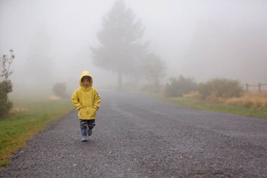 Şirin sarışın çocuk, evlat, kırsal bir yolda sisli bir sonbahar gününde yağmurda şemsiyeyle oynuyor.