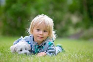 Küçük çocuk, sarışın çocuk, sonbaharda bahçedeki küçük Malta yavru köpeğiyle oynuyor.