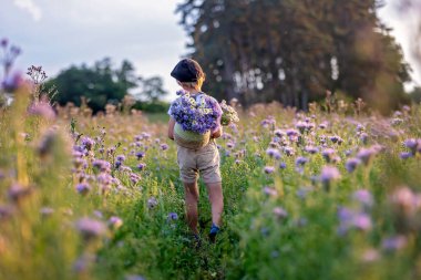Güzel bir okul çocuğu, gün batımında çiçek tarlasında yüzü boyalı bir çocuk, elinde çiçekler ve eski moda valizlerle, yaz zamanı.
