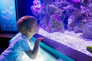 Küçük çocuk, çocuk okyanusta yüzen balık sürüsünü izliyor, çocuklar sualtı hayatının tadını çıkarıyor, mutluluk.