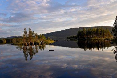 Çocuk, çocuk, İsveç 'te bir gölün kenarında kitap okuyor, yaz zamanı.