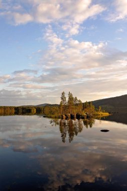 Çocuk, çocuk, İsveç 'te bir gölün kenarında kitap okuyor, yaz zamanı.