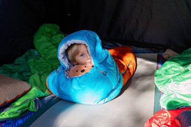 Tatlı bebek sarışın çocuk, çocuk ve evcil köpek, Norveç 'te tatilde bir çadırda uyku tulumunda uyuyor, vahşi doğada kamp yapıyor.