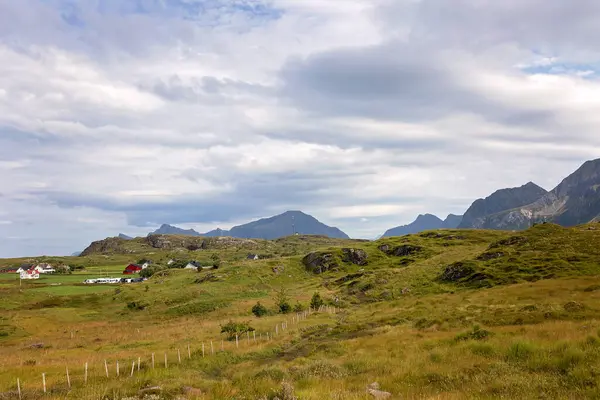 stock image Happy children with parents and dog, european family, hiking the Kvalvika trail on hill at Kvalvika beach, Norway summertime