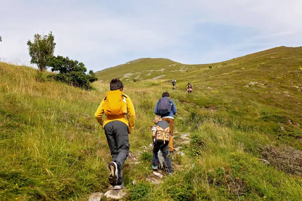 stock image Family with kids and dog, hiking in Vaeroya island, the most famous hike Haen, children enjoying hiking on sunny day