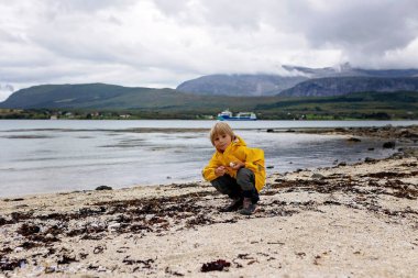 Beautiful blond child, boy, gathering shells on a beach in Norway, making heart from them clipart