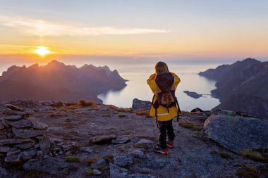 Çocuklar ve yetişkinler, köpekli aile, Senja, Lofoten 'de yürüyüş, güneşli bir yaz gününde 