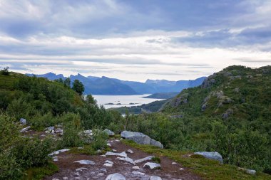 Family with children and pet, kids and adults hiking Sukkertoppen trail on Senja island, Norway clipart