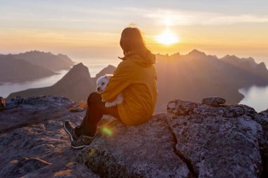 Çocuklar ve yetişkinler, köpekli aile, Senja, Lofoten 'de yürüyüş, güneşli bir yaz gününde 