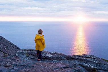 Çocuklu ve evcil hayvanlı aile, çocuklar ve yetişkinler Norveç 'in Senja adasında Sukkertoppen yolunda yürüyüş yapıyorlar.