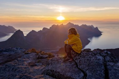 Çocuklar ve yetişkinler, köpekli aile, Senja, Lofoten 'de yürüyüş, güneşli bir yaz gününde 