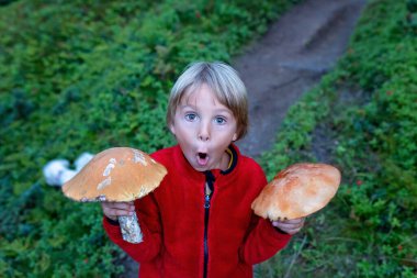Şirin sarışın çocuk, Norveç 'te ormanda büyük yenilebilir mantarlar tutuyor.