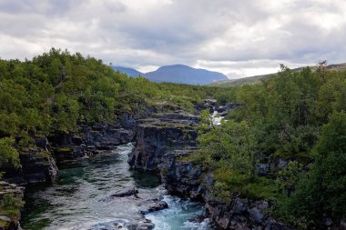 Family with kids and dog, hiking the Abisko National Park near Kiruna on a summer day, children and adults enjoying quality time together clipart