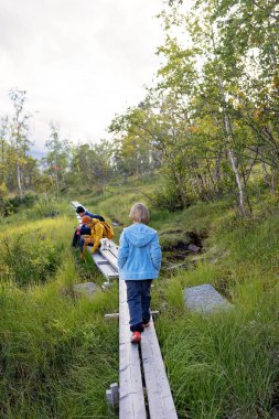 Family with kids and dog, hiking the Abisko National Park near Kiruna on a summer day, children and adults enjoying quality time together clipart