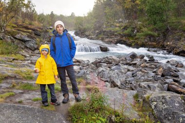 Family with kids and dog, hiking the Abisko National Park near Kiruna on a summer day, children and adults enjoying quality time together clipart