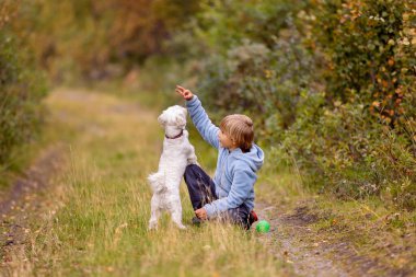 Şirin küçük sarışın çocuk, oğlum, küçük köpeğini emirlere uyması için eğitiyor, ormanda onunla oynuyor.