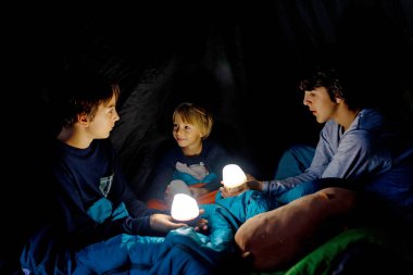 Children, boys siblings, enjoying a night in a tent in camping, laughing and reading books clipart