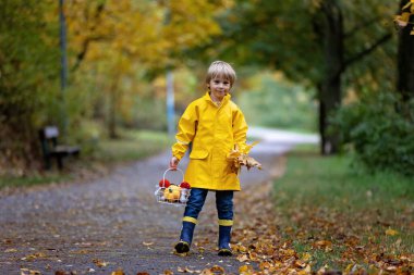 Güzel sarışın anaokulu çocuğu, yağmurda yapraklarla, mantarlarla ve balkabaklarıyla oynuyor, şemsiyesini tutuyor, güzel bir sonbahar günü.