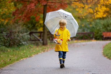 Güzel sarışın anaokulu çocuğu, yağmurda yapraklarla, mantarlarla ve balkabaklarıyla oynuyor, şemsiyesini tutuyor, güzel bir sonbahar günü.