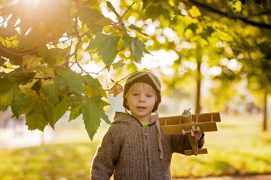 Küçük çocuk, oğlum, sonbahar parkında günbatımında uçakla oynuyor ve oyuncak ayı örüyor.