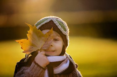 Küçük çocuk, oğlum, sonbahar parkında günbatımında uçakla oynuyor ve oyuncak ayı örüyor.