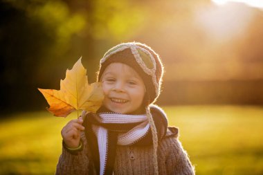Küçük çocuk, oğlum, sonbahar parkında günbatımında uçakla oynuyor ve oyuncak ayı örüyor.