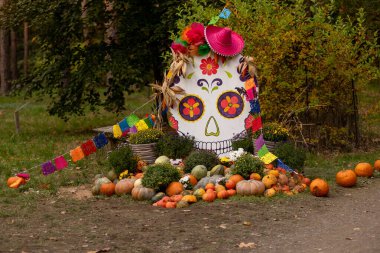 Çek Cumhuriyeti 'nde gün batımında bahçede balkabağı sergisi