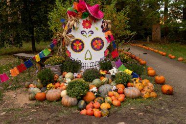 Çek Cumhuriyeti 'nde gün batımında bahçede balkabağı sergisi