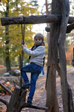 Muhteşem sarışın çocuk, tatlı çocuk, Prag 'daki Botanik Bahçesi' nde güneşli bir günün keyfini çıkarıyor, Cadılar Bayramı 'nda balkabakları sergisi, sonbahar zamanı