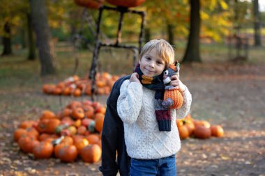 Muhteşem sarışın çocuk, tatlı çocuk, Prag 'daki Botanik Bahçesi' nde güneşli bir günün keyfini çıkarıyor, Cadılar Bayramı 'nda balkabakları sergisi, sonbahar zamanı
