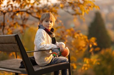 Muhteşem sarışın çocuk, tatlı çocuk, Prag 'daki Botanik Bahçesi' nde güneşli bir günün keyfini çıkarıyor, Cadılar Bayramı 'nda balkabakları sergisi, sonbahar zamanı
