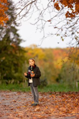 Muhteşem sarışın çocuk, tatlı çocuk, Prag 'daki Botanik Bahçesi' nde güneşli bir günün keyfini çıkarıyor, Cadılar Bayramı 'nda balkabakları sergisi, sonbahar zamanı