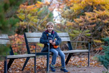 Muhteşem sarışın çocuk, tatlı çocuk, Prag 'daki Botanik Bahçesi' nde güneşli bir günün keyfini çıkarıyor, Cadılar Bayramı 'nda balkabakları sergisi, sonbahar zamanı