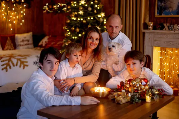Noel 'de mutlu bir aile, birlikte güzel vakit geçiriyoruz, çocuklar ve yetişkinler Noel arifesinde süslü evde evcil köpekleriyle.