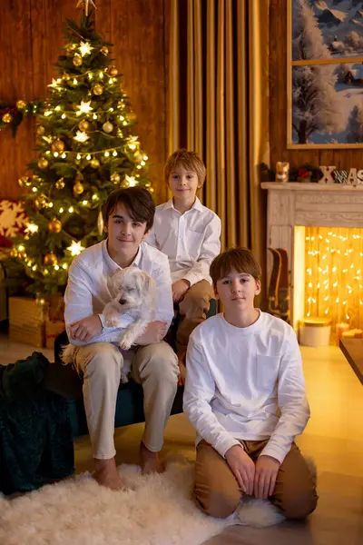 Noel 'de mutlu bir aile, birlikte güzel vakit geçiriyoruz, çocuklar ve yetişkinler Noel arifesinde süslü evde evcil köpekleriyle.