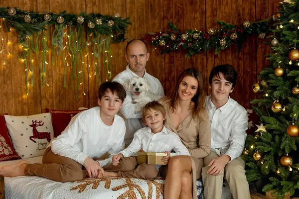 Noel 'de mutlu bir aile, birlikte güzel vakit geçiriyoruz, çocuklar ve yetişkinler Noel arifesinde süslü evde evcil köpekleriyle.