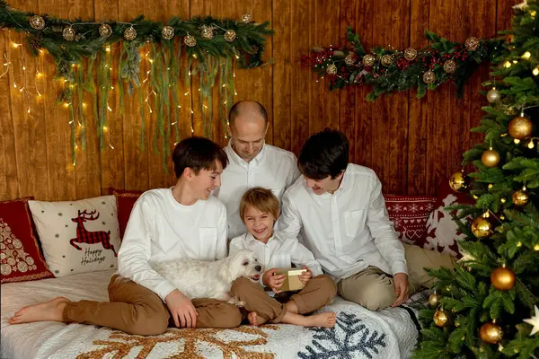 Noel 'de mutlu bir aile, birlikte güzel vakit geçiriyoruz, çocuklar ve yetişkinler Noel arifesinde süslü evde evcil köpekleriyle.