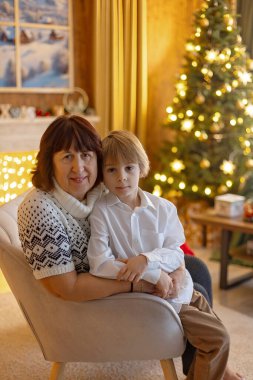 Noel 'de mutlu bir aile, birlikte güzel vakit geçiriyoruz, çocuklar ve yetişkinler Noel arifesinde süslü evde evcil köpekleriyle.