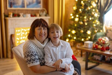 Noel 'de mutlu bir aile, birlikte güzel vakit geçiriyoruz, çocuklar ve yetişkinler Noel arifesinde süslü evde evcil köpekleriyle.