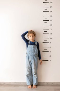 Küçük çocuk, boyunu kanguru duvarına karşı ölçüyor.