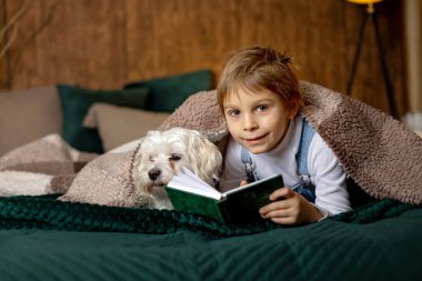 Küçük çocuk, oğlum, evcil bir köpekle yatakta uzanıyor, küçük bir köpek, kitap okuyor, güzel yumuşak bir ışık.