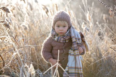 Güzel çocuk, örgü kıyafetler içinde şapka ve eşarpla, dondurucu bir sabah ormanında oyuncak ve çayla oynuyor.