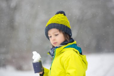 Tatlı çocuk, parkta karla oynuyor, çocuk karla oynuyor.