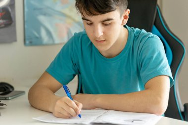 Okul çocuğu, ilkokul çocuğu, evde ortaokul sınavlarına hazırlanıyor, matematik ve dil öğreniyor.