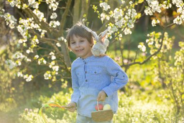 Sevimli küçük sarışın çocuk, küçük çocuk, parkta küçük piliçlerle oynuyor, yavru civcivler ve çocuk ilkbaharda, açık havada