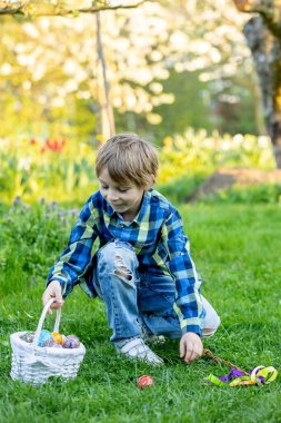 Sevimli küçük sarışın çocuk, küçük çocuk, parkta küçük piliçlerle oynuyor, yavru civcivler ve çocuk ilkbaharda, açık havada