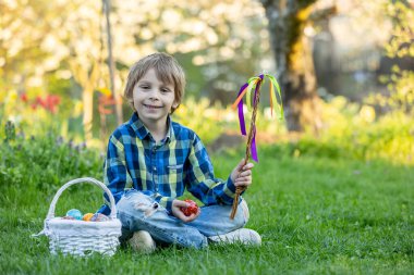 Sevimli küçük sarışın çocuk, küçük çocuk, parkta küçük piliçlerle oynuyor, yavru civcivler ve çocuk ilkbaharda, açık havada